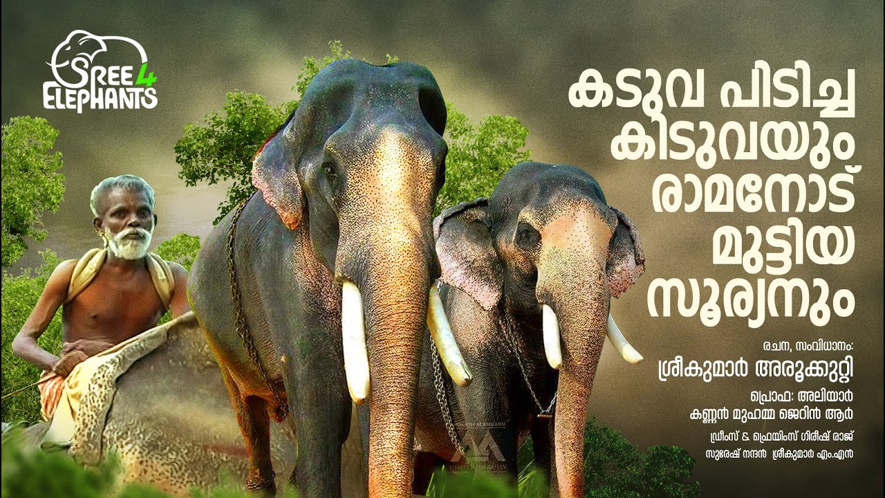 കടുവയുടെ ചങ്കൂറ്റം പരീക്ഷിച്ച ആനക്കിടുവ.തെച്ചിക്കോടനെ വെല്ലുവിളിച്ച ചുള്ളിപ്പറമ്പിൽ സൂര്യനെയും കാണാം