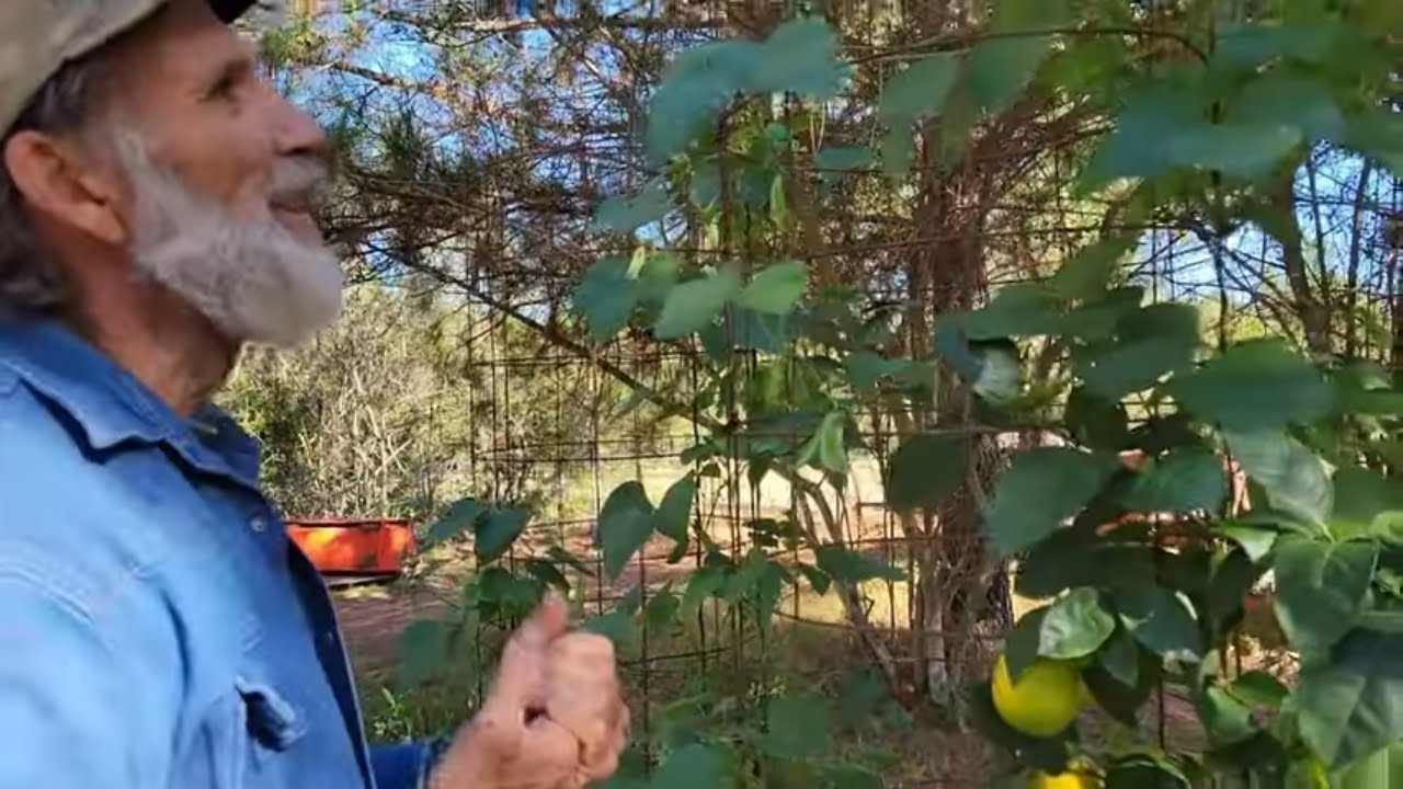 Container Gardens - Can IT Be DONE?? We Made IT Happen!