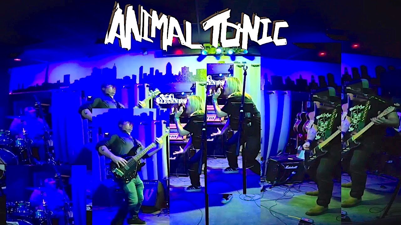Euphoria Animal Tonic Live Indie Band