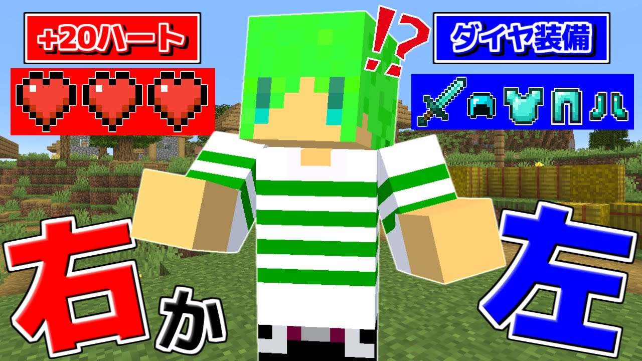 究極の2択を選べる世界でサバイバル！？【マインクラフト】