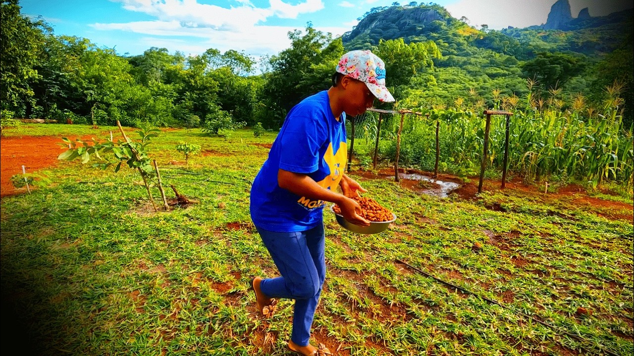 #29 Life, Bees, Sink, Stew. Building a homestead in rural Zimbabwe.