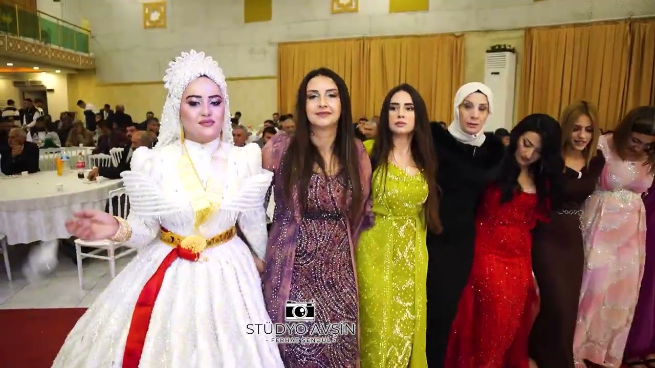 Dızo Halayı 2026 Bilen Ailesinin Görkemli Düğünü Şivan Müzik Farkıyla Coşku Dolu Bomba Halay 