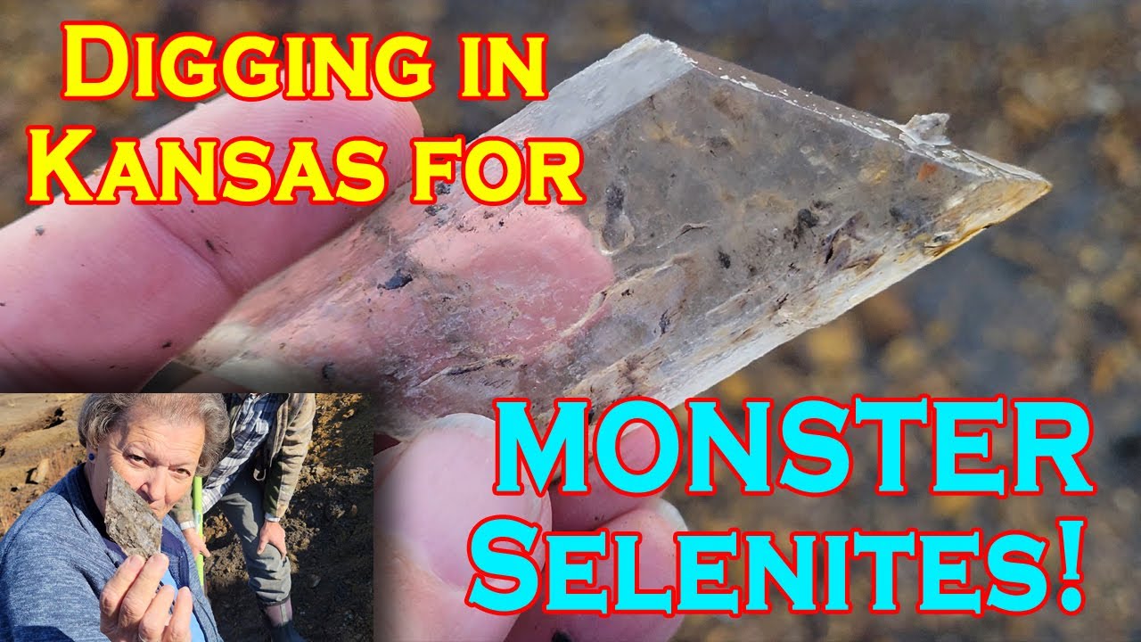 MONSTER Selenite Crystals in Kansas (And the Tooth of a Monster as Well!)