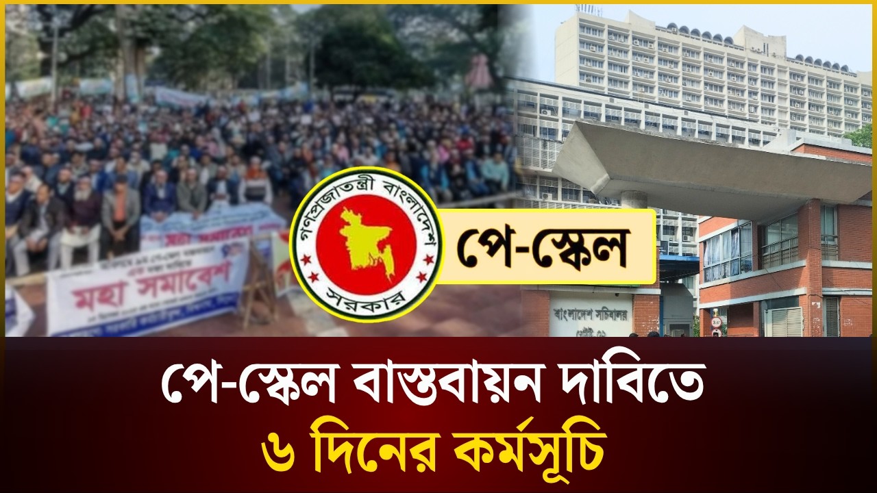 পে-স্কেল বাস্তবায়ন দাবিতে ৬ দিনের কর্মসূচি | PayScale | The Daily Campus