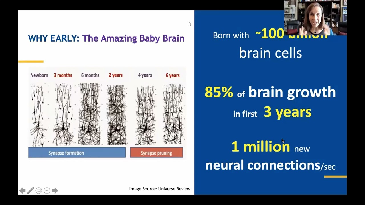 CFC Conference 2021 - Keynote Dr Laura Jana