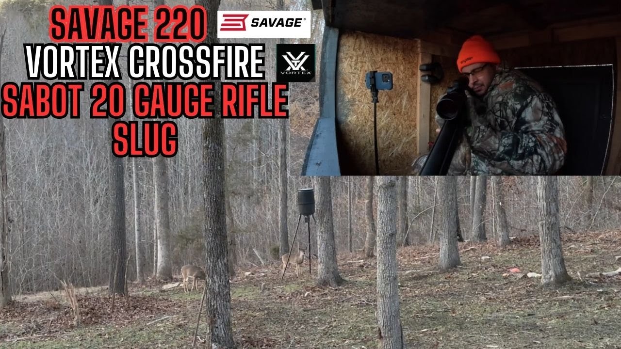 Охота на оленей в Северной Каролине в 2023 году: SAVAGE 220 20 Gauge на небольшом участке площадь...
