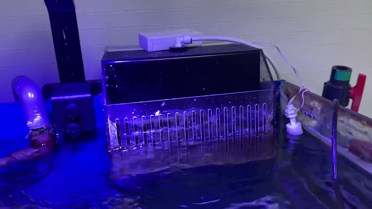 Meu sistema de filtragem e meu overflow box