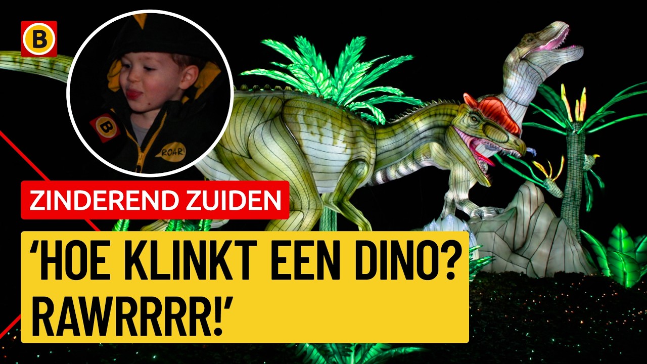 Zo ziet de Light Safari op Safaripark Beekse Bergen er uit | Zinderend Zuiden