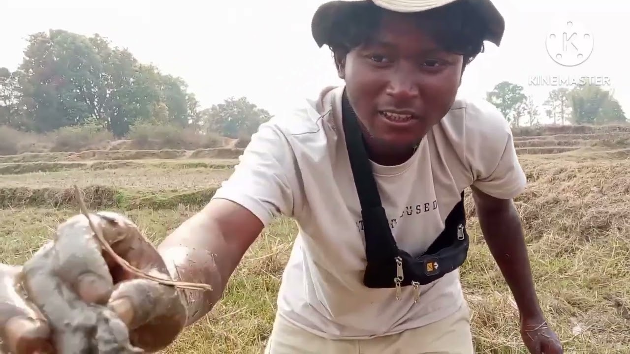  दोस्तों के साथ केकड़ा पकड़ते हुए 🫣😁🦀🦀🦀#comedymove #comedyfilms #funny #vlog #ihavethisthingwithplan