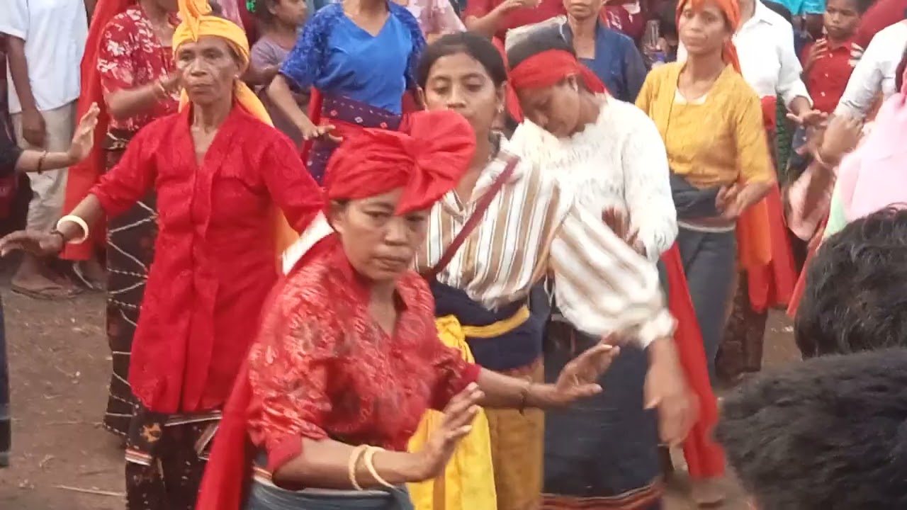 kerehomba pesta WOLEKA