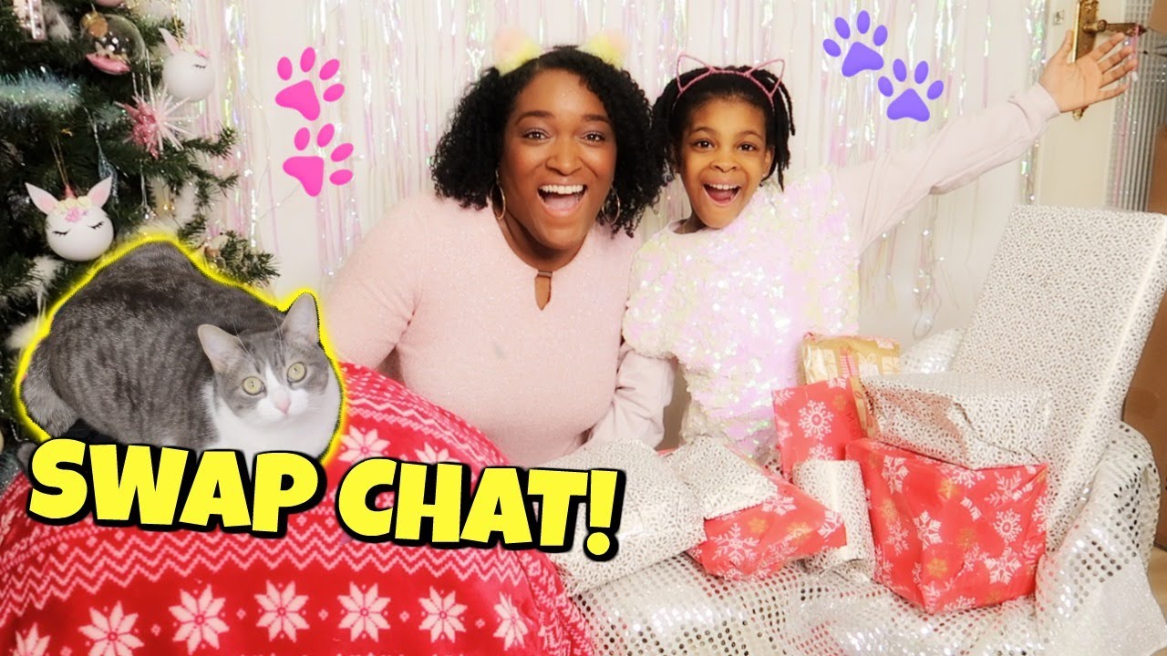 SWAP CHAT ! CADEAUX DE NOËL AVANT L'HEURE !