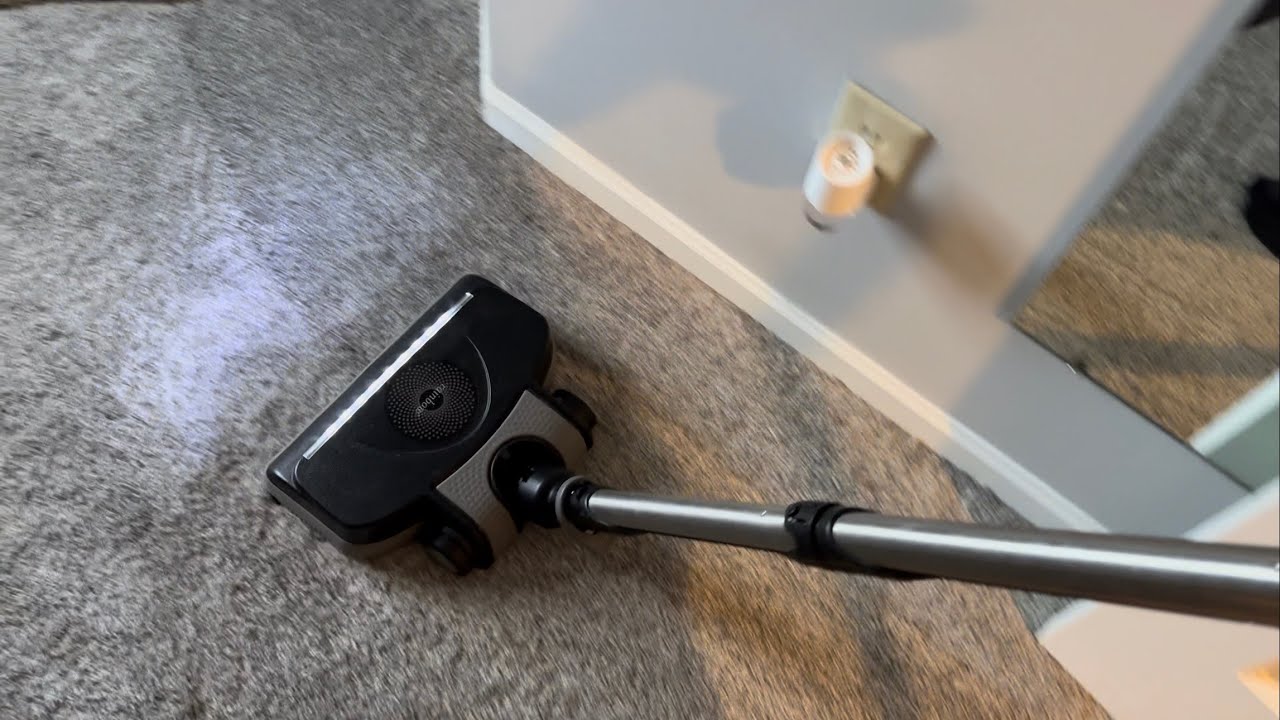 Rainbow E2 Black vacuums the Cat Room
