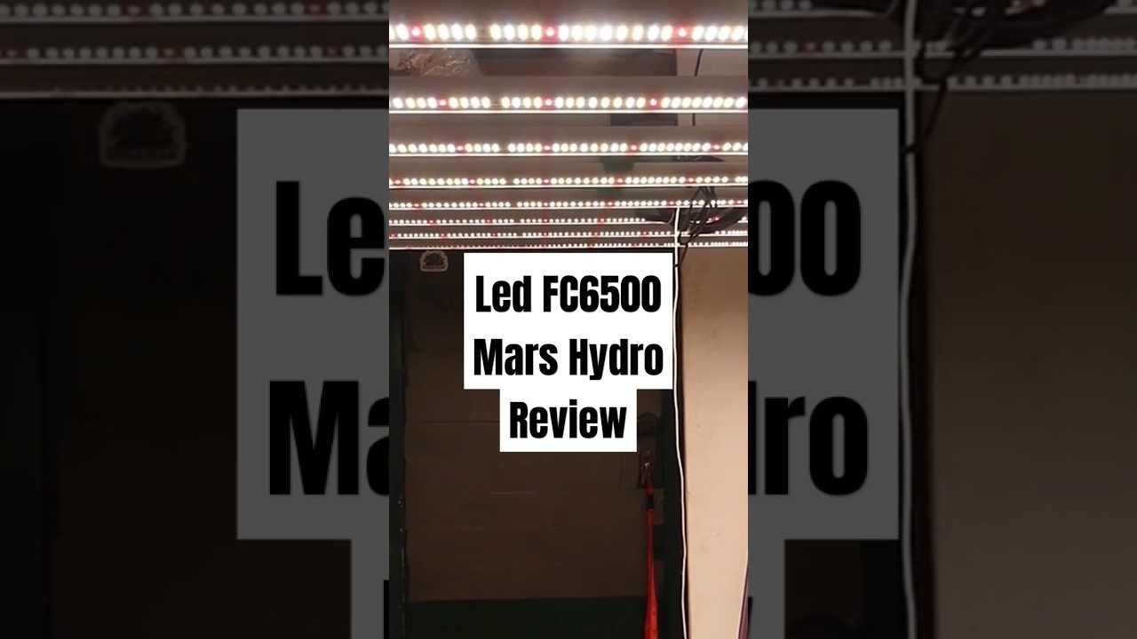 LED FC6500 REVIEW | @marshydroeurope #review