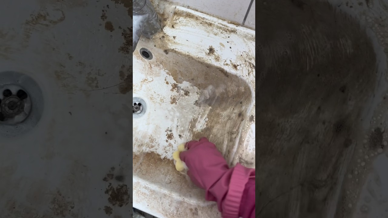 COMO LIMPIAR UN FREGADERO 👍🏻 #limpiezahogar #limpiezaprofunda #deepcleaning