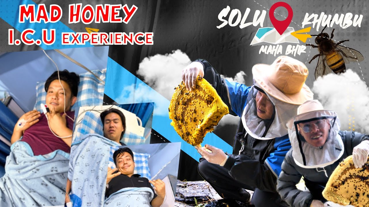 FUN GUYZ AT I.C.U !!! MAD HONEY EXPERIENCE !!!! SOLUKHUMBU SALLERI !!! MAHA BHIR !!