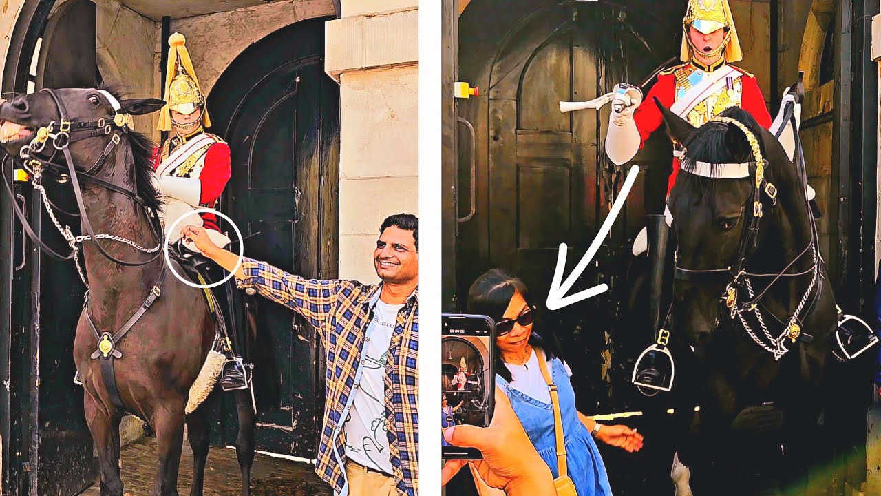 That is one of the reasons that tourists are no longer allowed to touch the horses at Horse Guards.