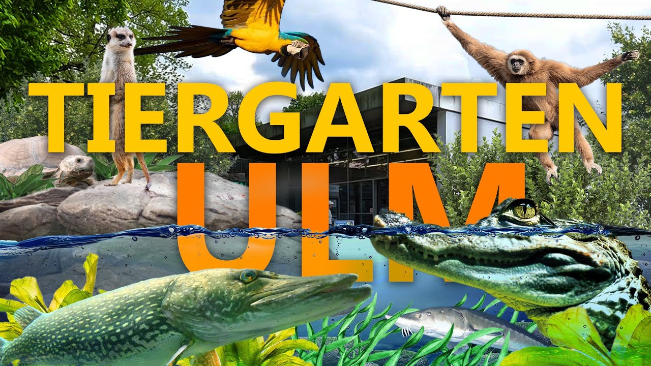 Tiergarten Ulm - Eine Perle an der Donau? | Zoo-Eindruck