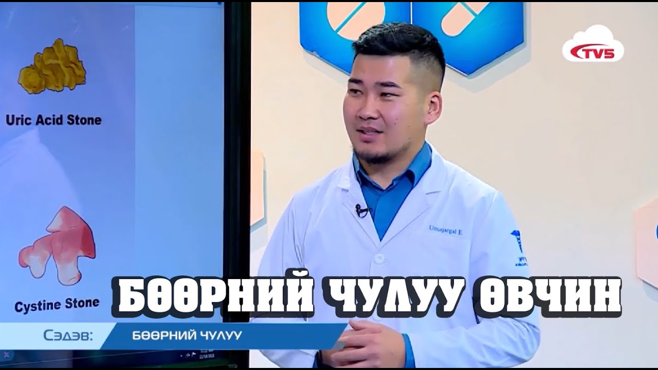 БӨӨРНИЙ ЧУЛУУ ӨВЧИН