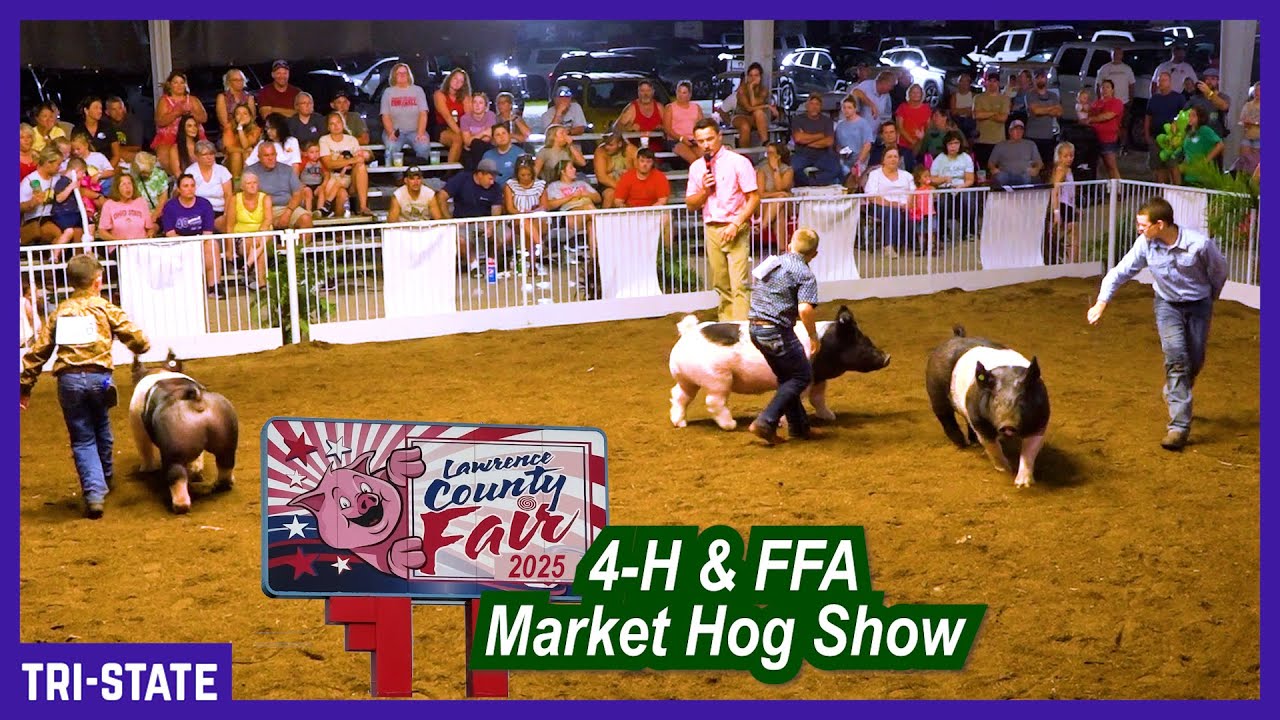 2025 Lawrence County Ohio 4-H & FFA Market Hog Show