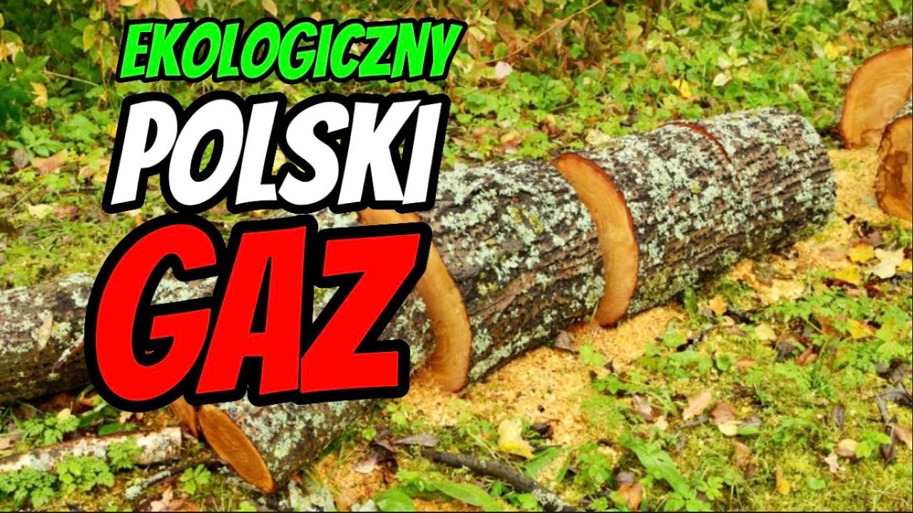 Kogeneracja z gazu drzewnego. Tani sposób na czystą i ekologiczną energię.