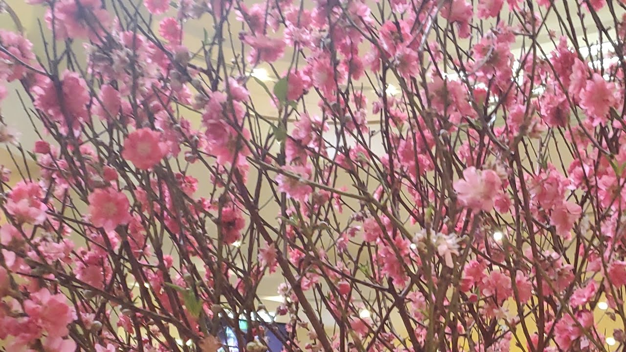 Masayang hapon sa lahat. March 7