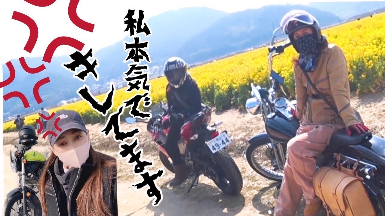 【バイク女子】ハーレー女子は体もデカいが夢もデカかった〜🤩💕#女子ツーリング#菜の花畑#女子モトブロ