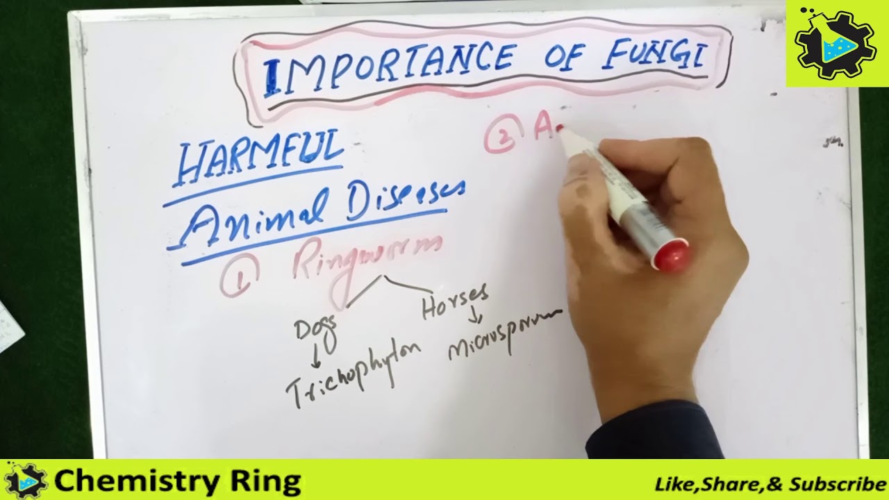 Harmful aspects of fungi || fungi as parasite || lec 30 || Chemistry Ring
