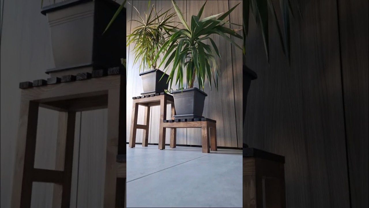 Cum construiesti un Suport din lemn pentru plante?! #woodworking #diy #diyprojects