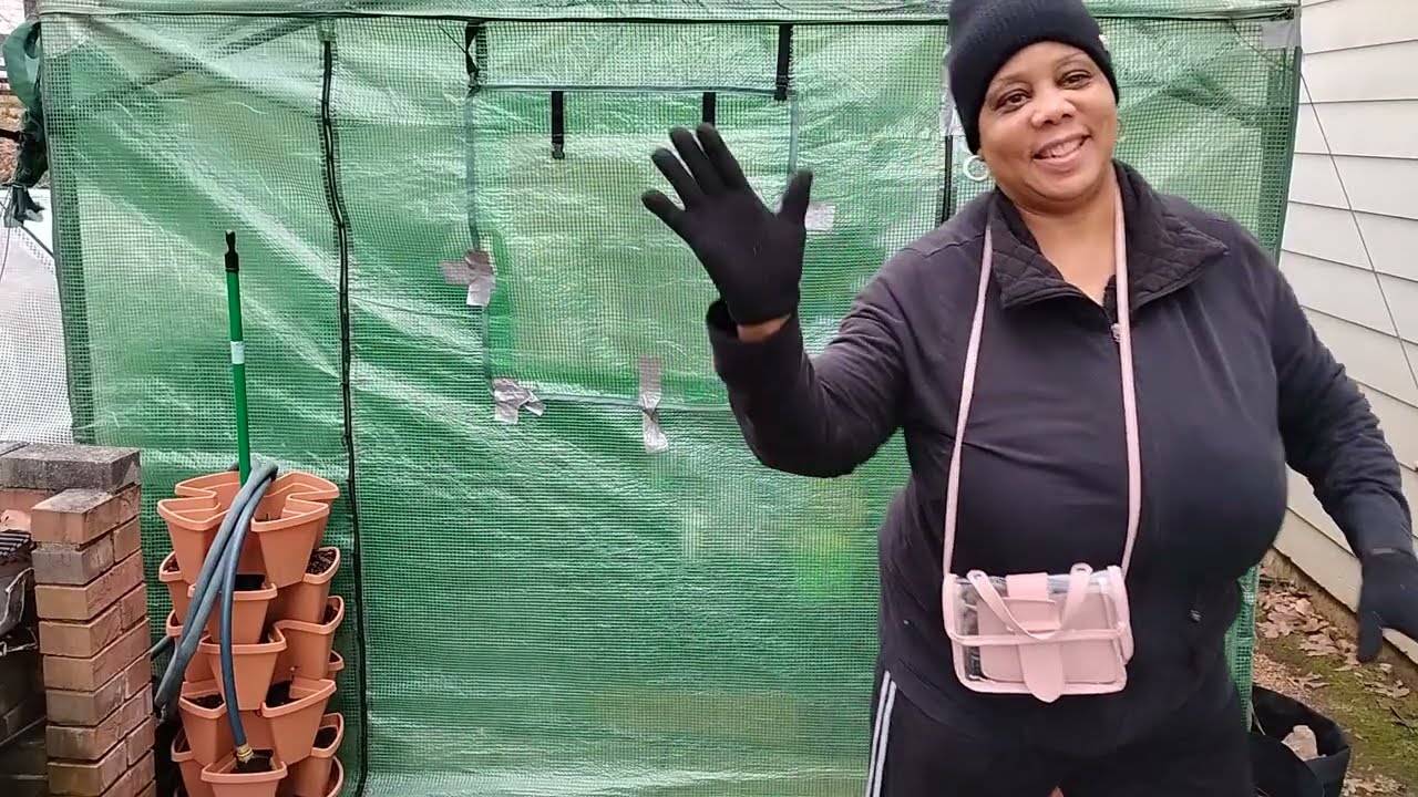 Winter Ice Storm Garden Preparedness| Protecting Greenhouse Garden Plants for the Winter Storm