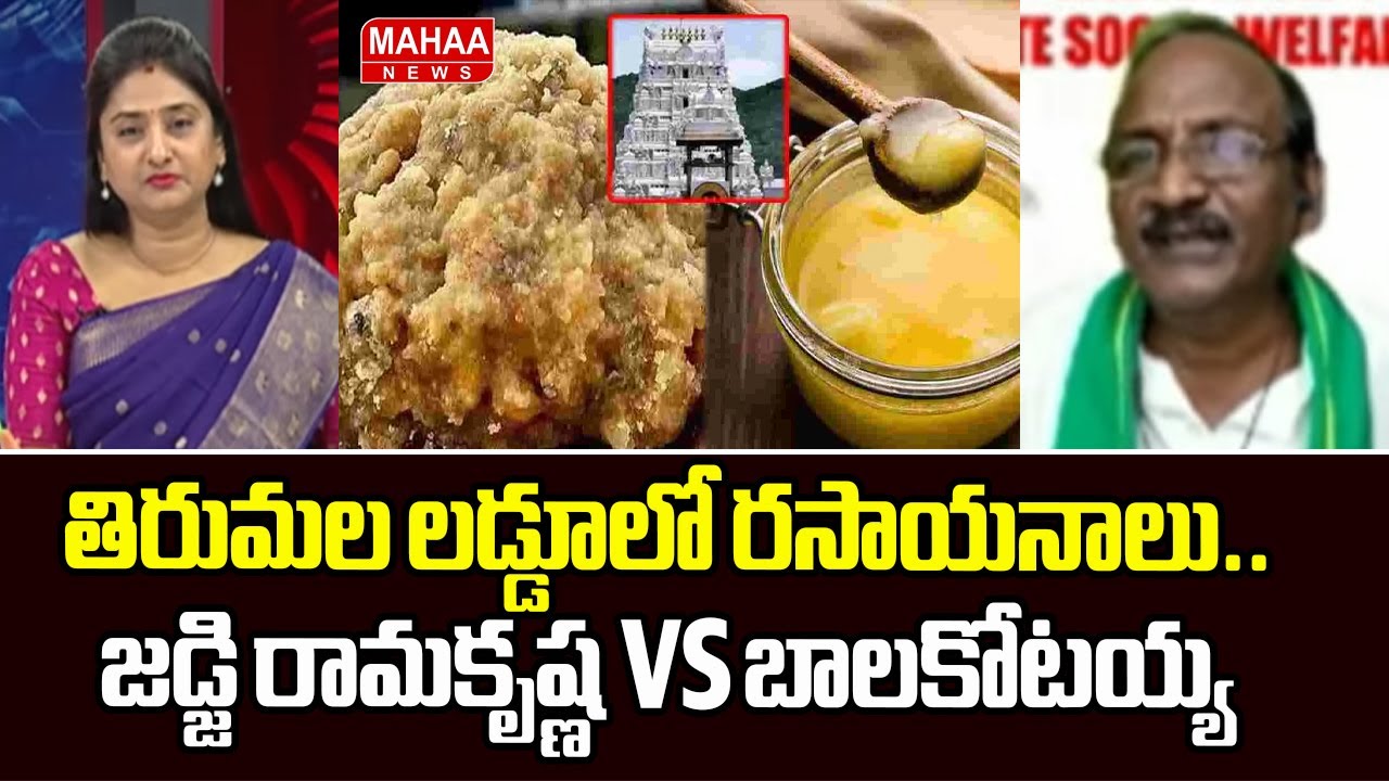 తిరుమల లడ్డూలో రసాయనాలు.. జడ్జి రామకృష్ణ VS బాలకోటయ్య | Tirumala Laddo Issue | Mahaa News
