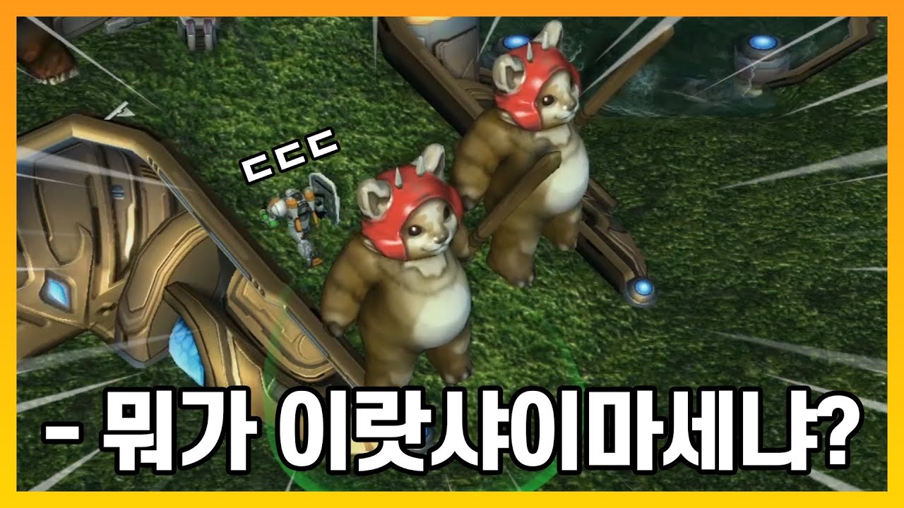 고양이 능력으로 막는 '입구 막기' 유즈맵 ㅋㅋㅋ - [랜덤 속성 능력 입구막기]