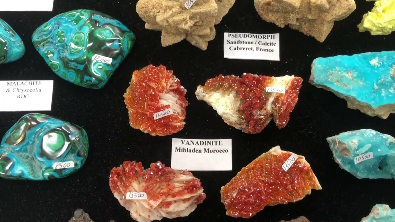 Minerals 番外046: 第33回東京ミネラルショー. 2024 12 14.