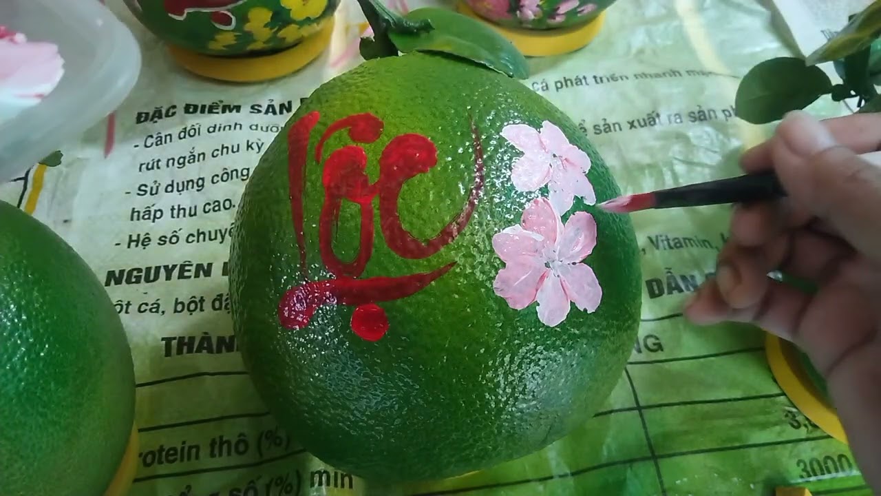 Vẽ bưởi chưng tết/Instructions how to draw pomelos for Tet 