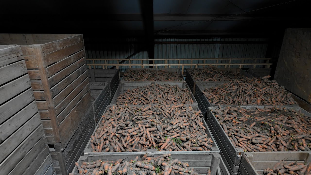 300.000 kilo wortelen liggen in Minnertsga te wachten op een nieuwe afnemer