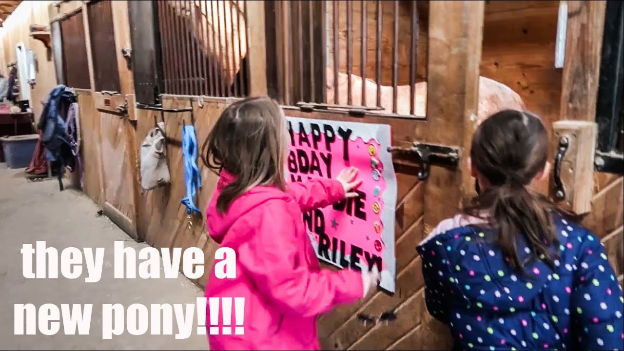surprising my students with a pony