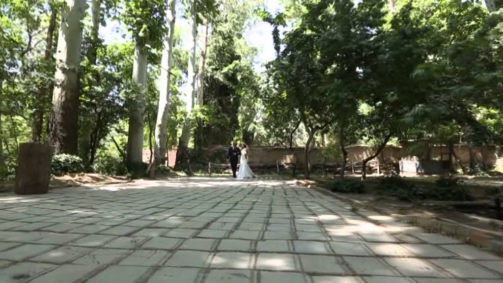 Amazing Persian Wedding,Persische Hochzeit,Aroosie,Iranian,Tehran