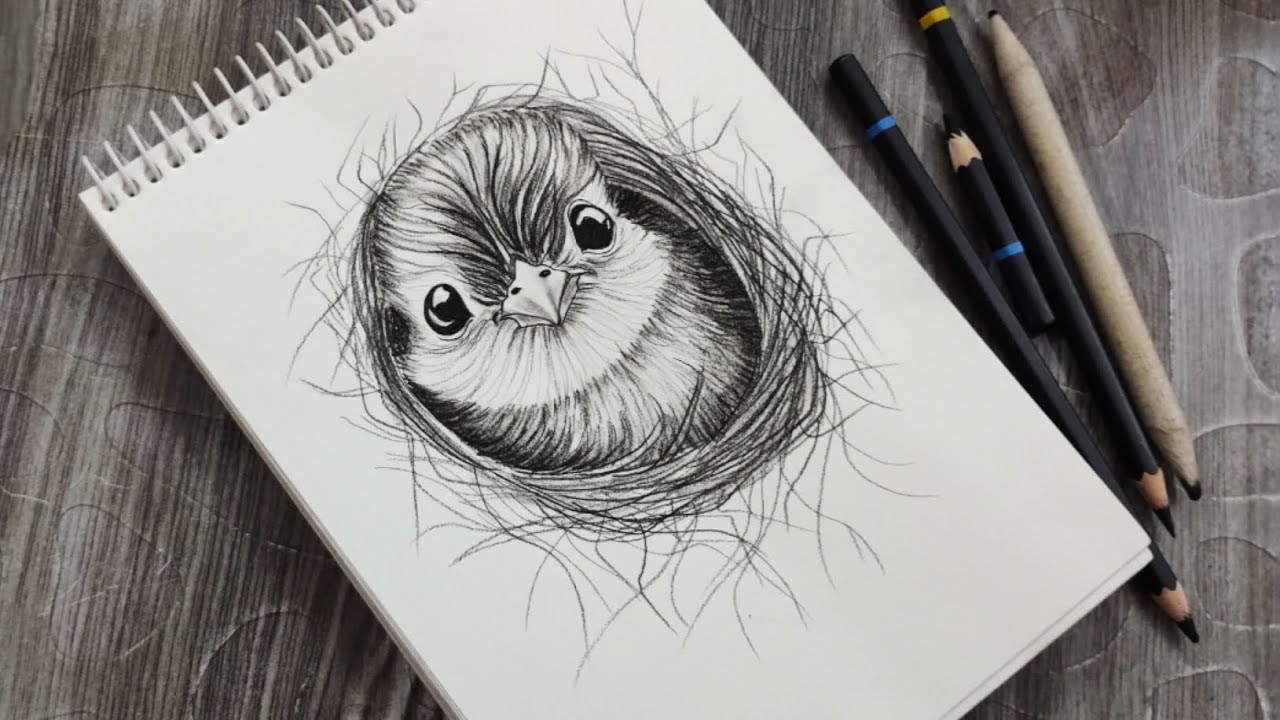 Cute Bird Drawing 🐦 | Easy Bird Drawing for Beginners,Charcoal#BirdDrawing #ArtTutorial #EasyDrawing