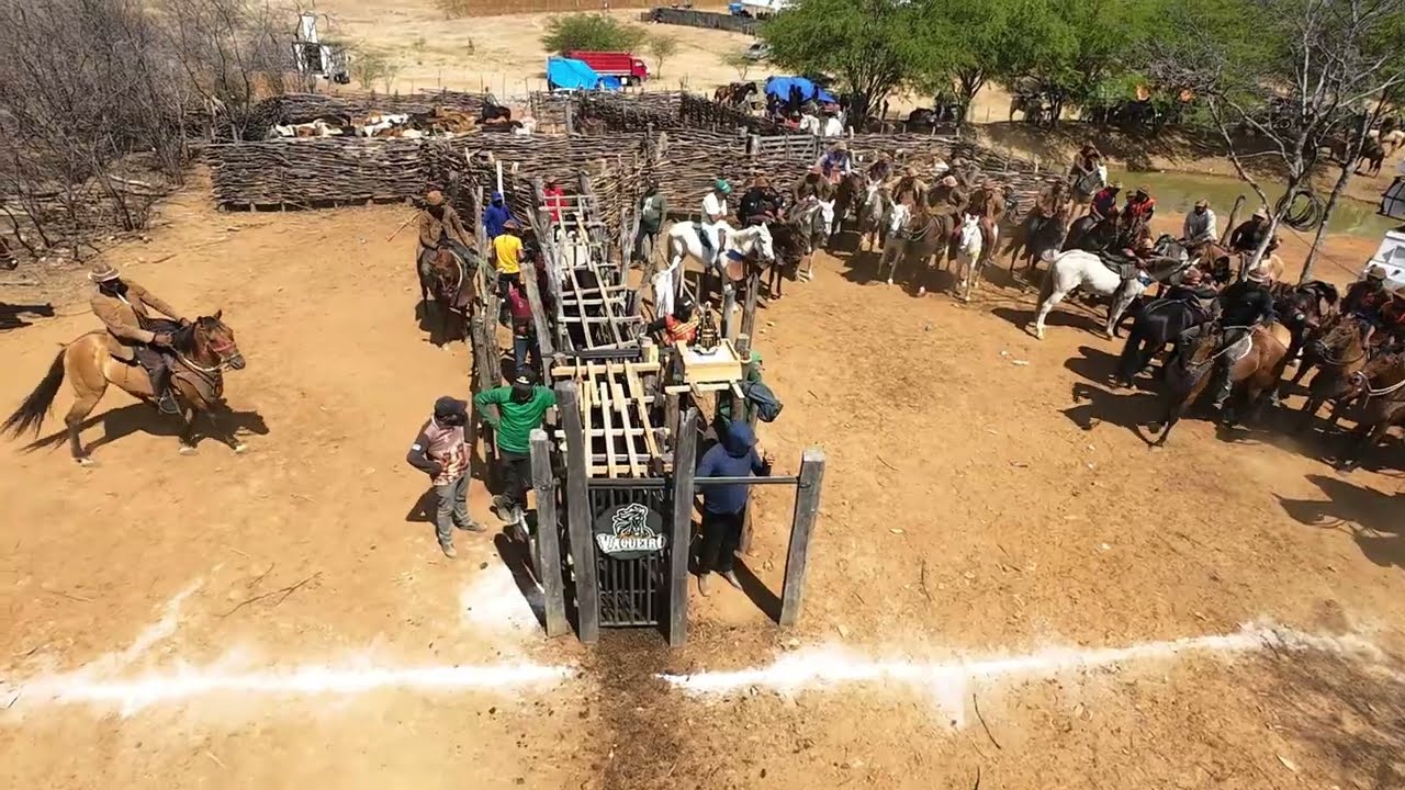 10⁰PÉ DE PORTEIRA DO SÍTIO LAGOA COBERTA CEDRO PERNAMBUCO org Geraldo DUDU e família 