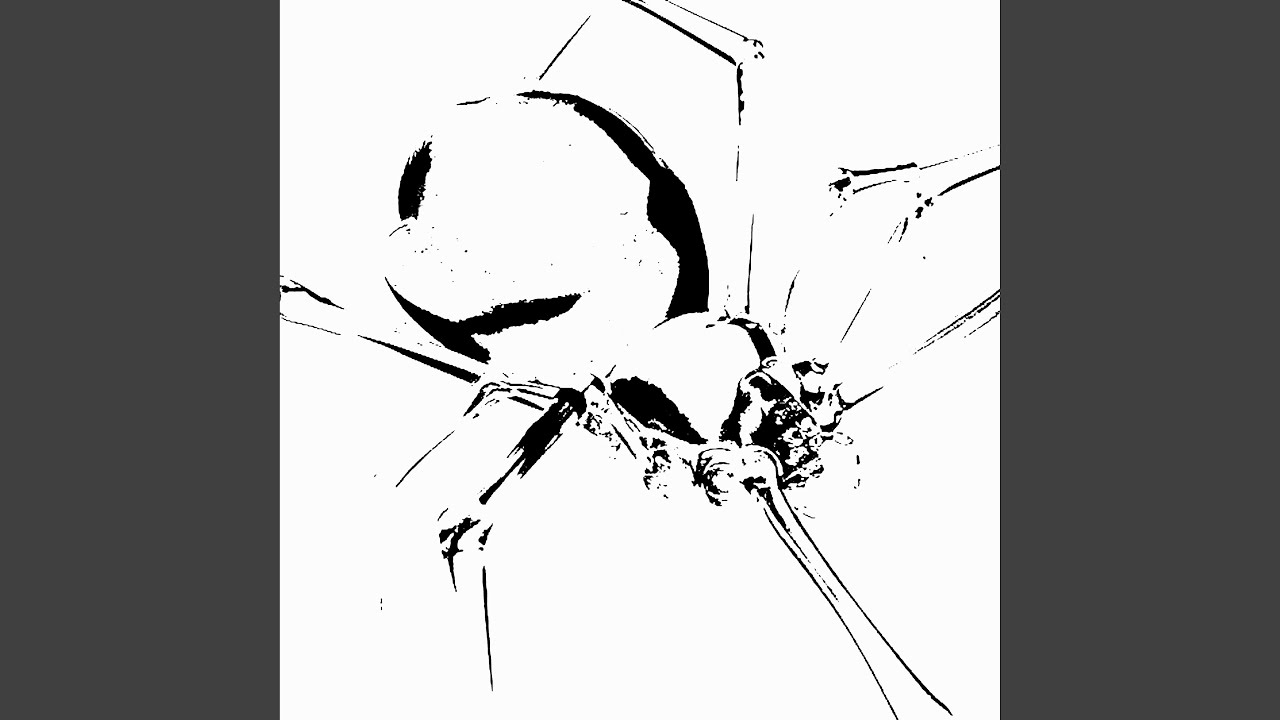 spider