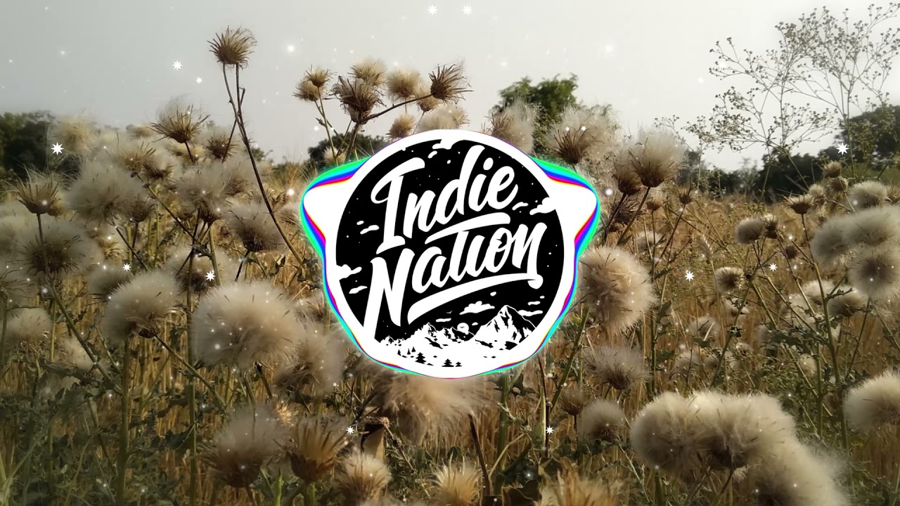 ill peach - DANDELION