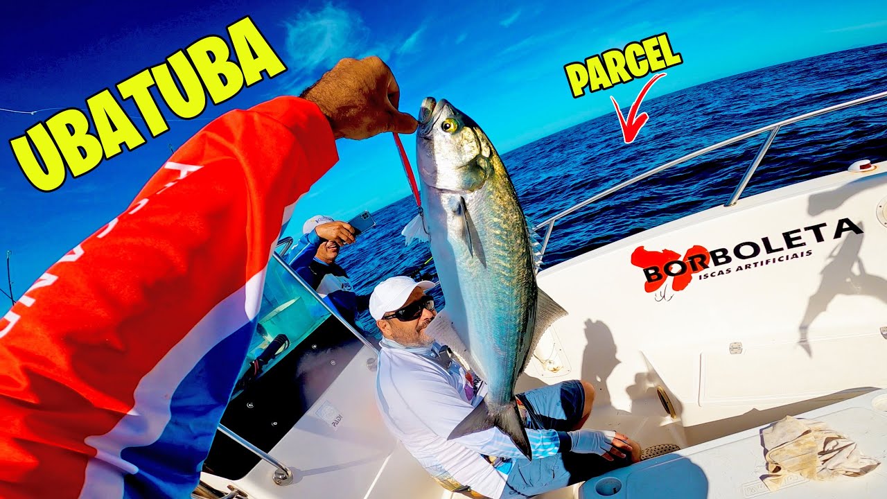 PEGAMOS MUITA ANCHOVA E OLHO DE BOI NESSE PARCEL | Pescaria no Mar.