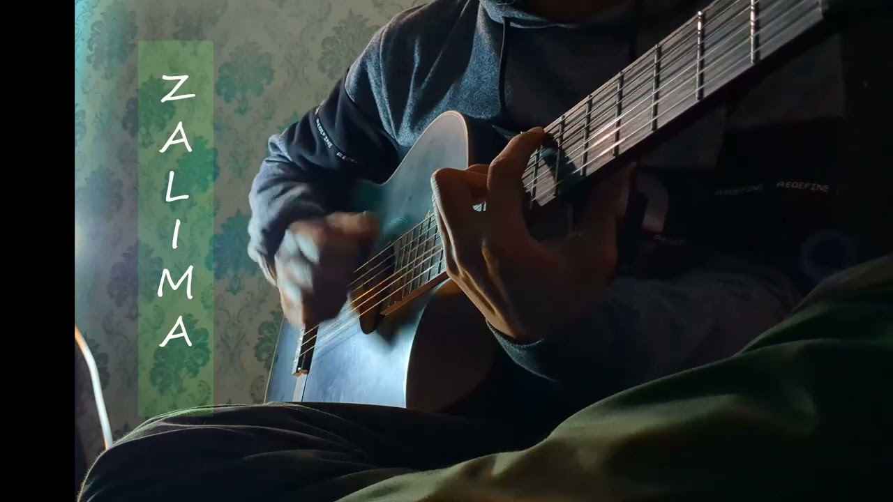 Zalima ( song cover)