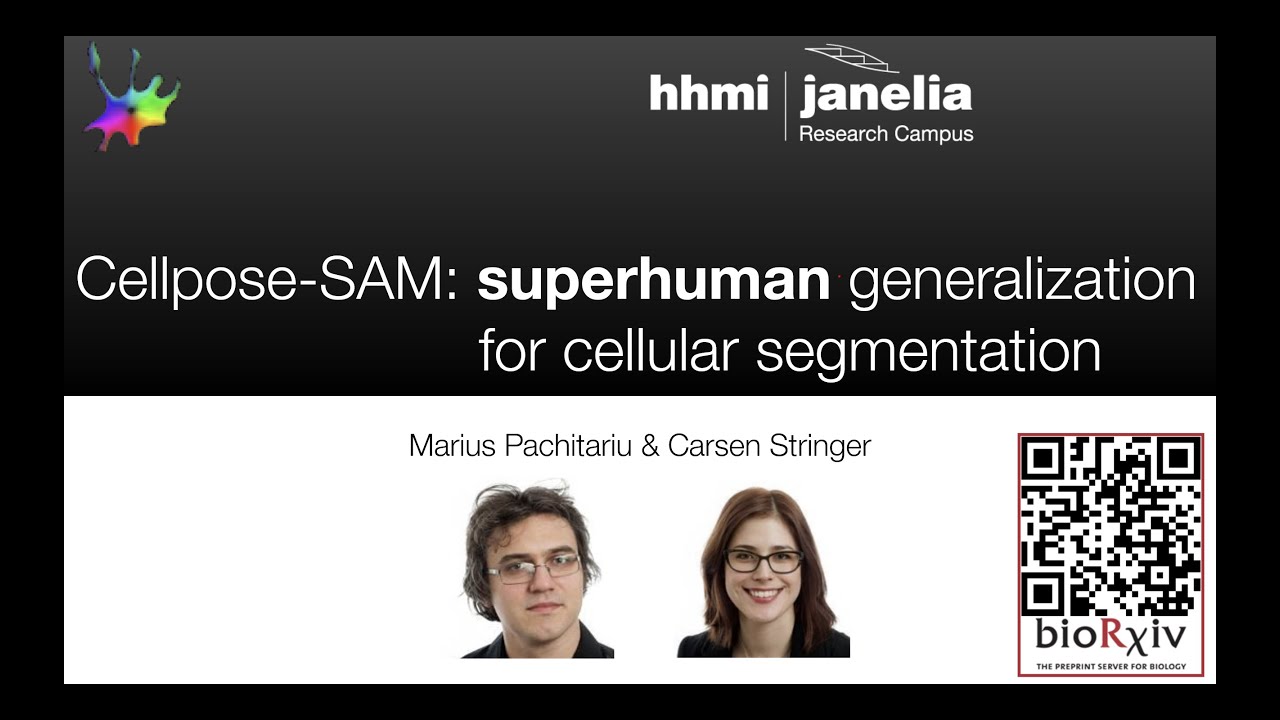 Cellpose SAM Tutorial