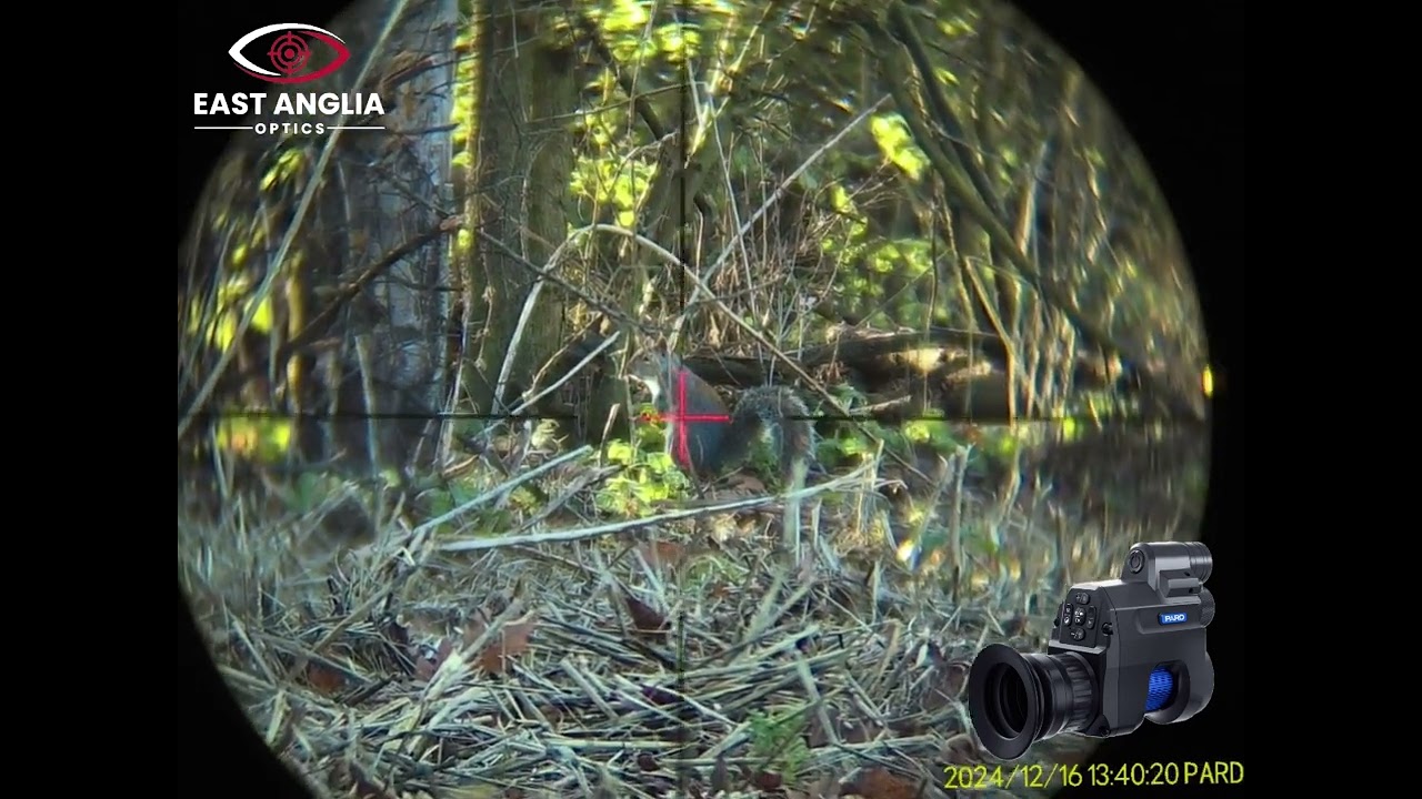 Pard NV007V2 Night Vision Add On footage of day and night