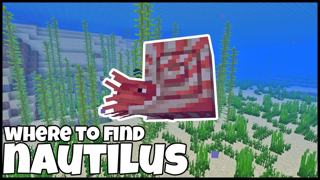 Where To Find The NAUTILUS In MINECRAFT