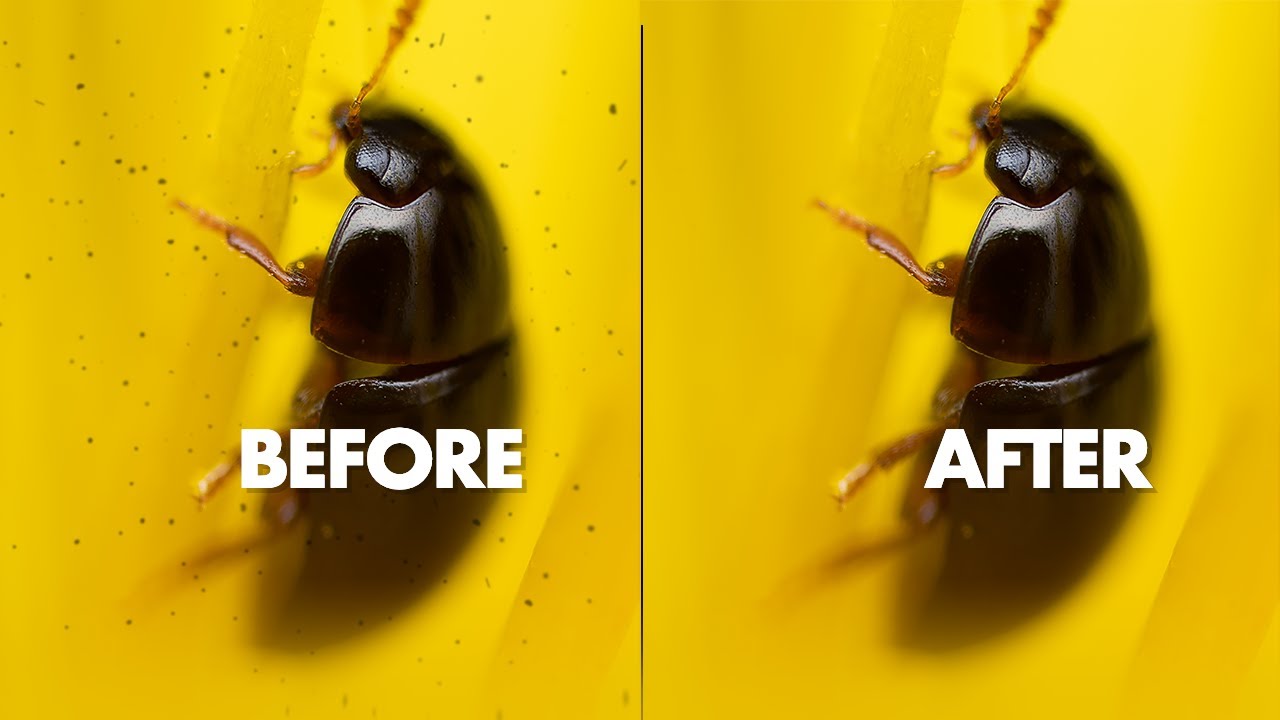 How to Clean Sensor Dust in Lightroom – All Photos in One Go!