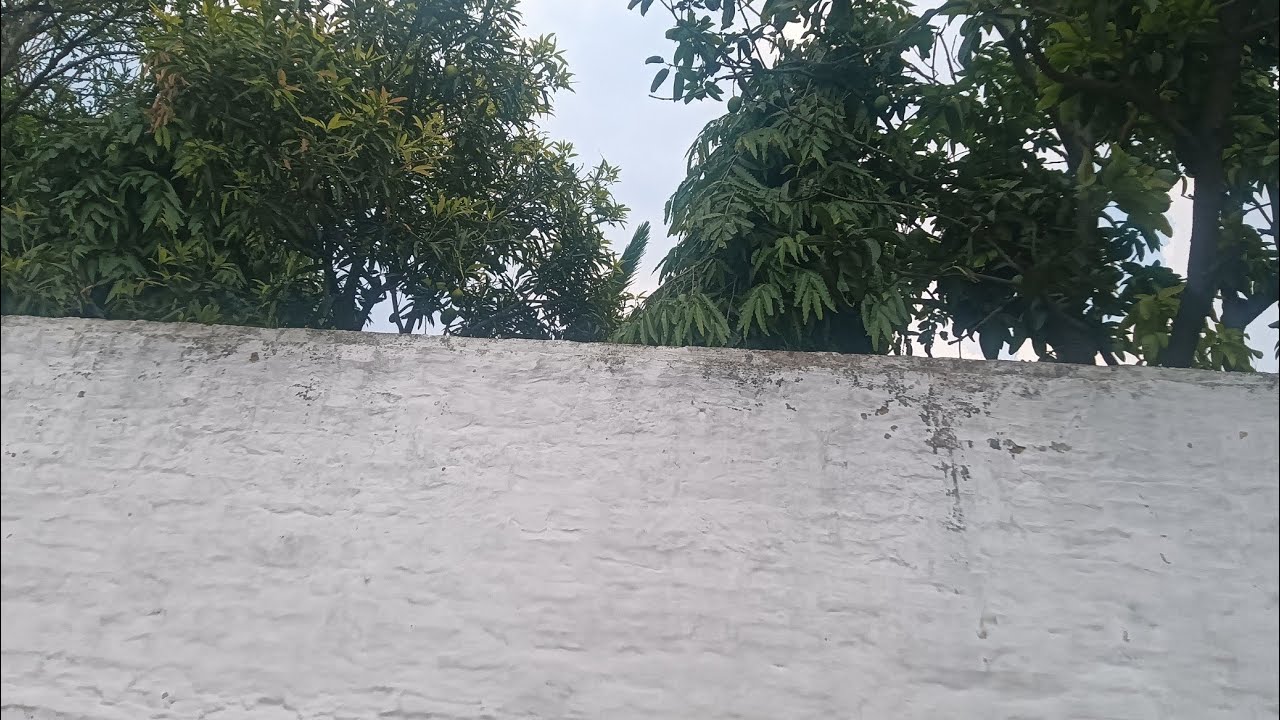 meenu ka menu is live hello everyone kesa Raha aaj ka din
