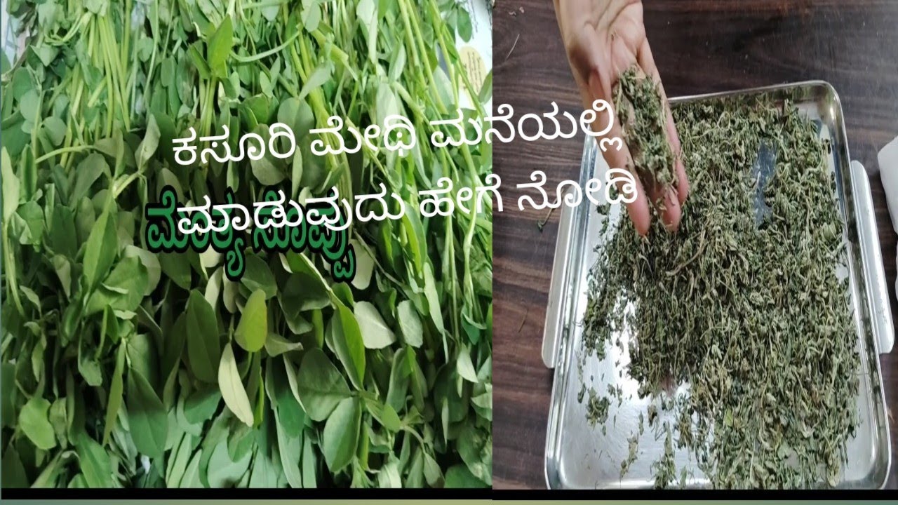 ಕಸೂರಿ ಮೇಥಿ ಮನೆಯಲ್ಲಿ ತಯಾರಿಸುವುದು ಹೇಗೆ#home#💚🏡