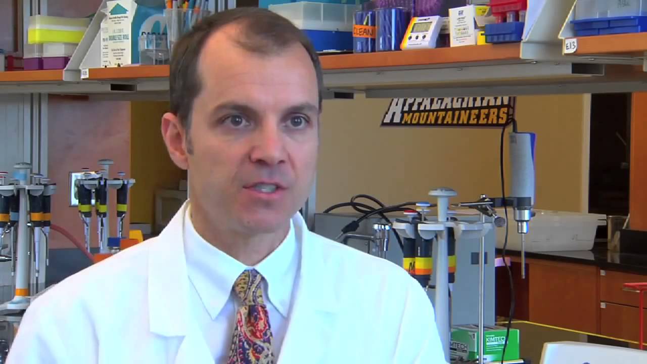 ASEA Frontiers: Metabolites
