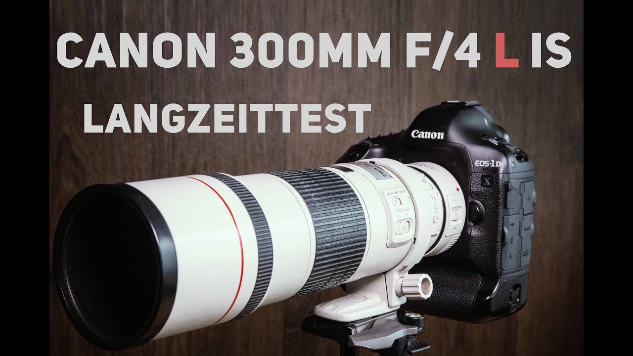 Review - Canon EF 300mm f/4 L IS USM (Langzeittest)